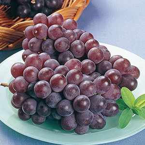 7ܡвͽ
<br>ǥ饦