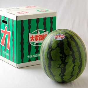  Ļ軺 