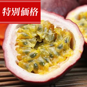 ò۲컺ѥåե롼