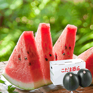 ジェイエイてんどうフーズ
<br>山形県産 黒皮小玉すいか
<br>ひとりじめBON BON
