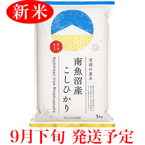 【予約】令和7年産<新米>
<br>南魚沼産コシヒカリ