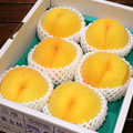 春日居の黄金桃
<br>甲斐黄桃(かいきいとう)
