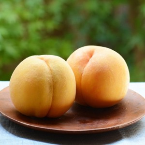 春日居の黄金桃 甲斐黄桃