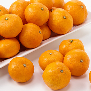 有田味一みかん