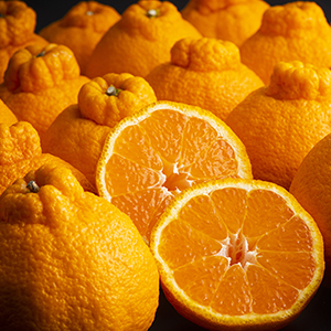 ڸ50Ȣ
<br>ˤߥ֥ ϥϥǥݥ