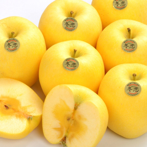 ��껺�ץ�ߥ�����<br>�Ϥ뤫��������
