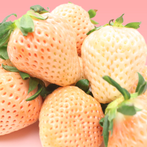 �򤤤��� ø��(����椭)