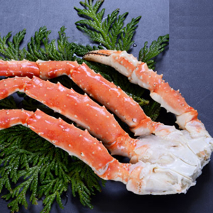 �������ܥ��� ����Х��˵�