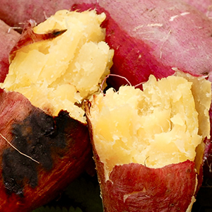 ��ʬ���� ���Ĥޤ���ʹȤϤ뤫�� ��������