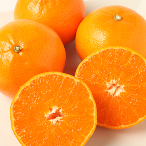 ���θ��������ϥ������� ���Ȥ�