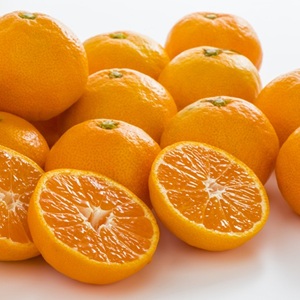 ���ܻ� ���� ��ʡ�ߤ���