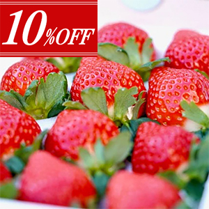 ��1�����10��OFF��<br>�������ۤ��ܤ������񤤤��������ߤΤ�