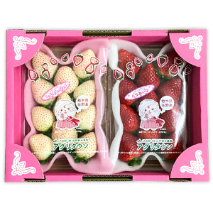 ���ڻ������� �������å�<br>(�ߥ륭���٥꡼���Ȥ�������)