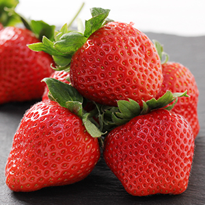 ��������Ծ� ����<br>���ܸ��� �ҤΤ�����������