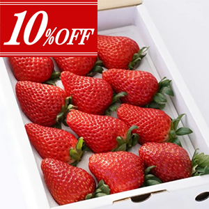 ��1�����10��OFF��<br>���Ĥ���δ��Ϥ�����