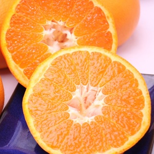 ��ʬ���������̡�˭���ʤۤ�������