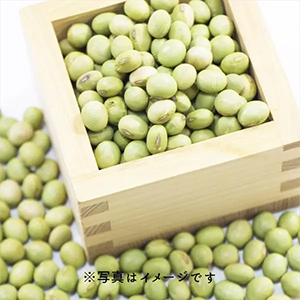 �������� �㴥�� ����Ʀ��