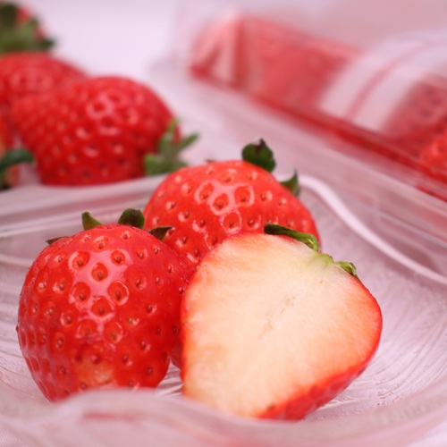 ��ɲ���������㤢�ޤ��Ȥ��