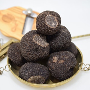 �ե�å����ߥȥ���