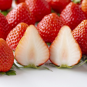 ��100���åȸ���۴��Ϥ��ޤ�� ��꤫��������