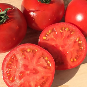 ��50���åȸ���۹����� ���ȥޥ�