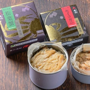 ����ð�建 �ץ�ߥ��೪�̵�