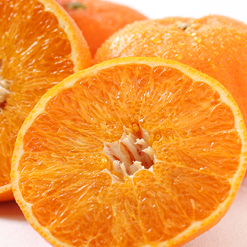 ��ɲ���� ��ʿ<br>5kg����̡�3L-4L