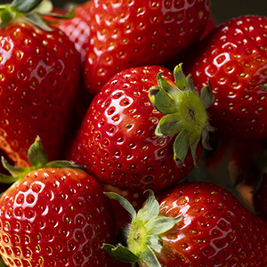 �ܾ뻺<br>�ߥ��������� �������