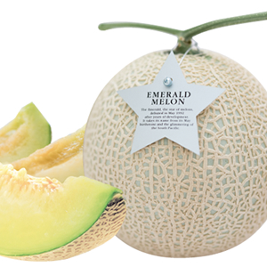 ��ܤΥ�����ɥ����