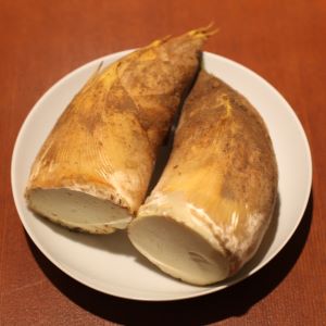 �㸷������ϤΤ����Τ�