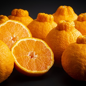 ���������·��¢�����βФ��Ǥ�