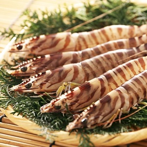 �桼��������٥����ܿ�<br>�衺���९��ޥ���