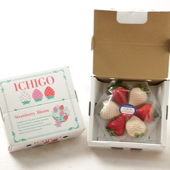 ���ɸ���<br>������2���͹礻