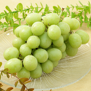 �ڥ롼��<br>�������९�ꥹ��