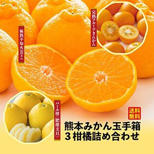 ���ܤߤ���̼�Ȣ