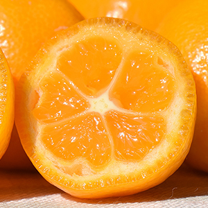 ���ܻ� ���崰�� �ե롼�Ĥ��󤫤�