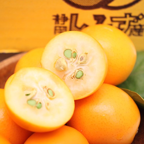 �Ų����������Ĵ��Ϥ��󤫤�֤�������