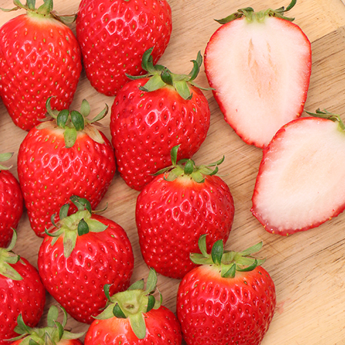 ��̻��������֤٤ˤ��ޡ�