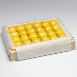 ������ ���� ���