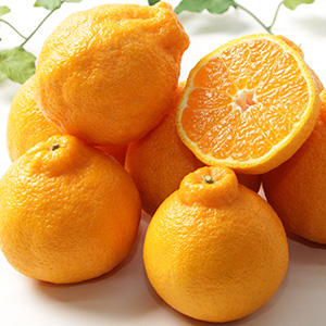 �²λ����� Ū������ <br>���β�