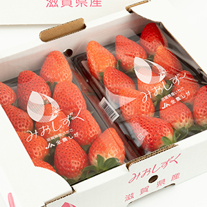 ���츩��������<br>�ߤ�������