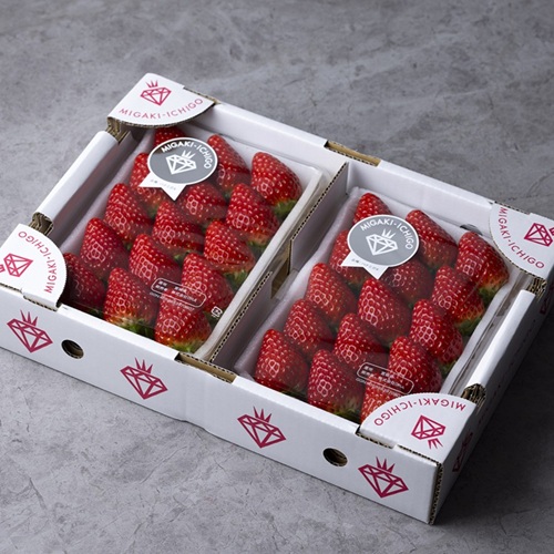 �ܾ뻺 �ߥ���������������С�