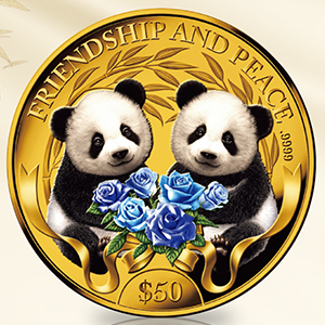 ͧ����ʿ�� �лҥѥ��<br>��������顼��ʾ