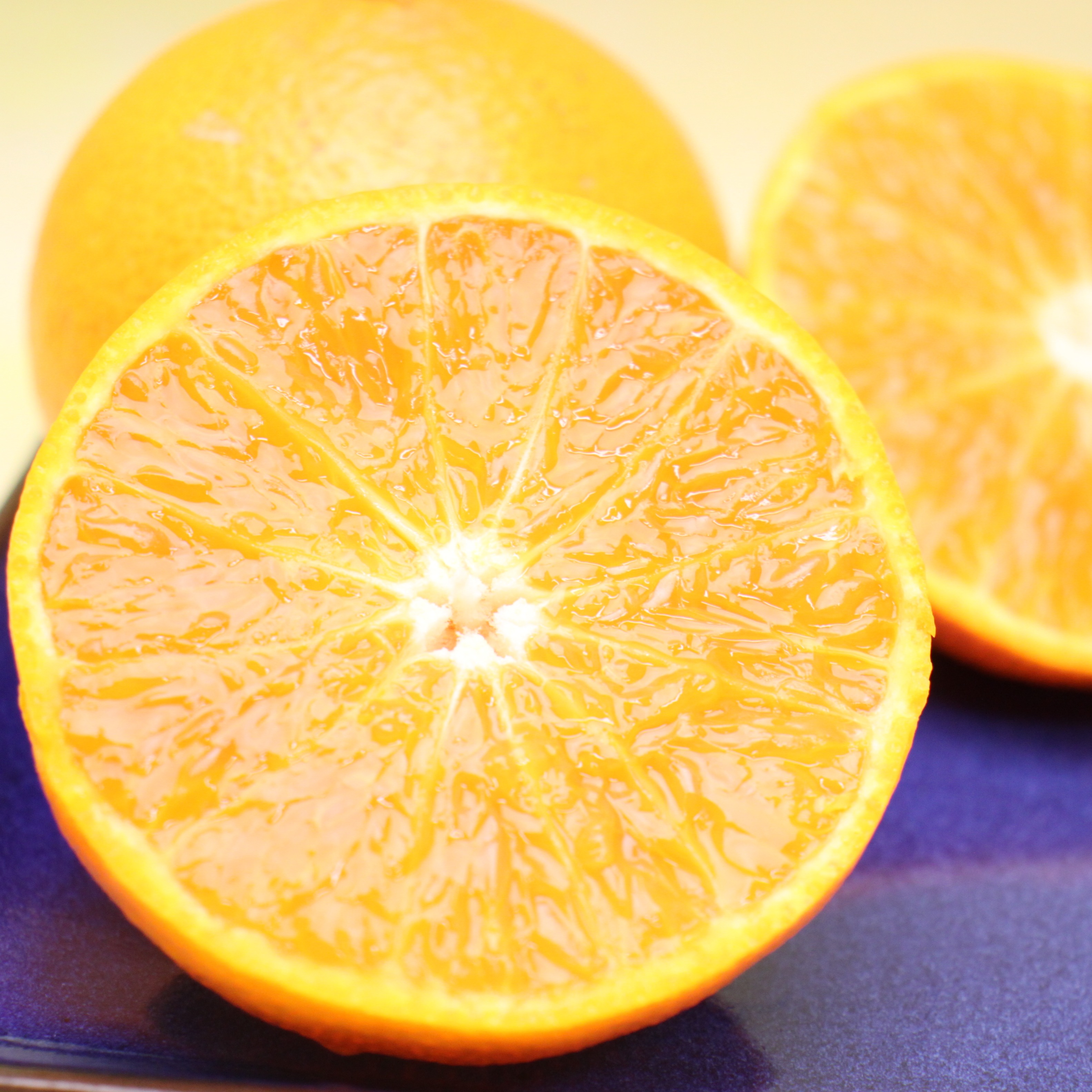 ��ɲ�� �ȥץ�󥻥�