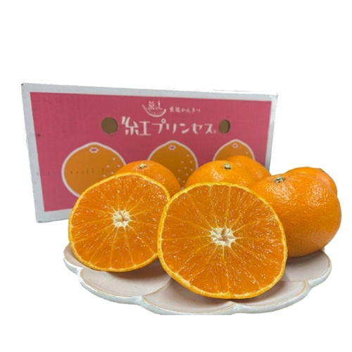 ��ɲ�����绺<br>�ȥץ�󥻥� �Ľ�