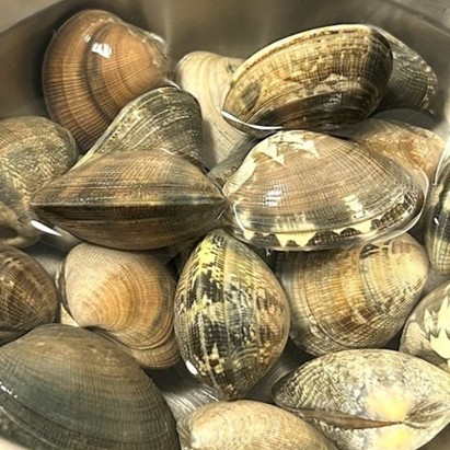 ���Ρ����Ť���γ������