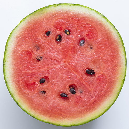 ���ܸ��������̤�����