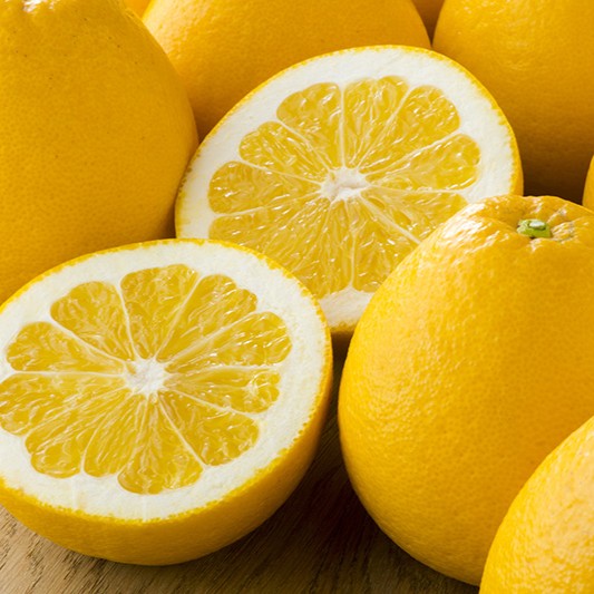 ���ܸ������塼���������(�����մ�)