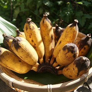 ���컺 ���åץ�Хʥ�