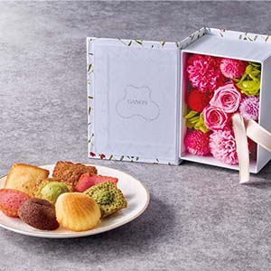 ���������<br>�ץꥶ���֥ɥե�BOOK��<br>�ץƥ������ȡ���������ƥ�